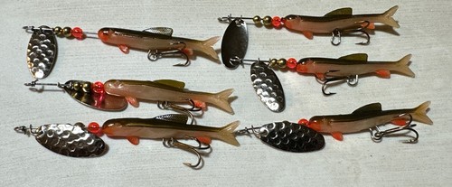 Felmlee red fin minnow - felmlee,